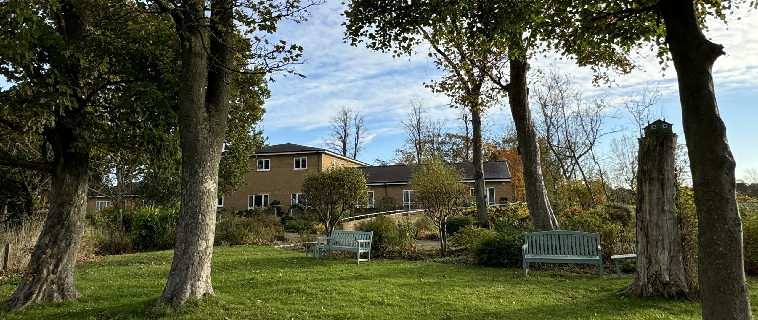 A garden space with tall tress and benches. A building can be seen in the background.