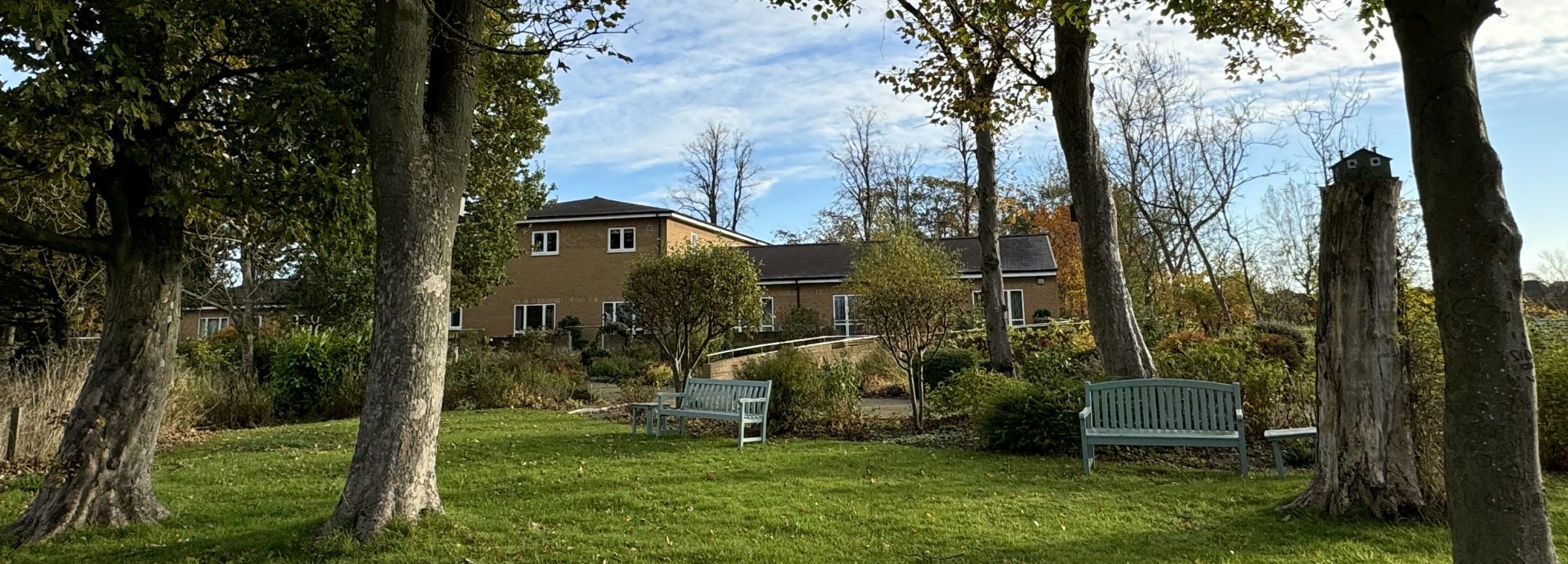 A garden space with tall tress and benches. A building can be seen in the background.